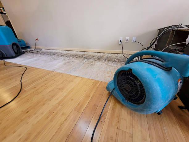 Professional Sewage Cleanup technician working in Aptos, CA
